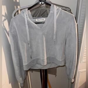 Wallflower Light Gray Cropped Hoodie (Small)